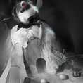 52977.png